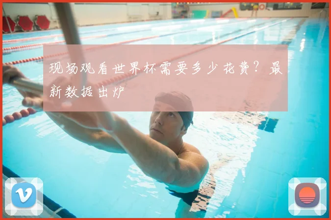 现场观看世界杯需要多少花费？最新数据出炉
