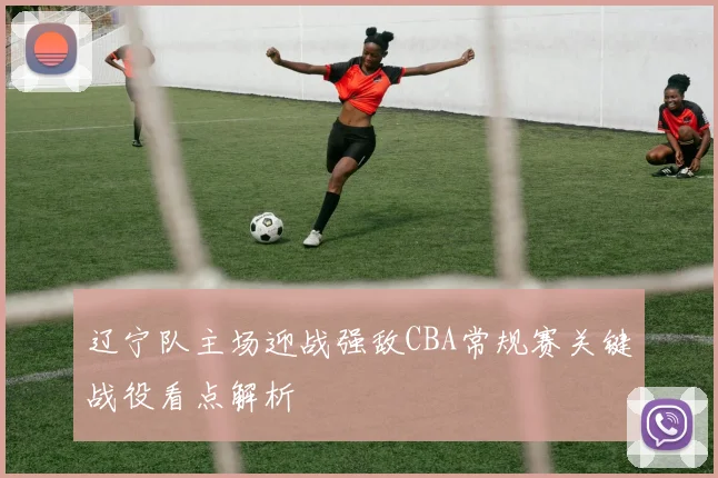 辽宁队主场迎战强敌CBA常规赛关键战役看点解析