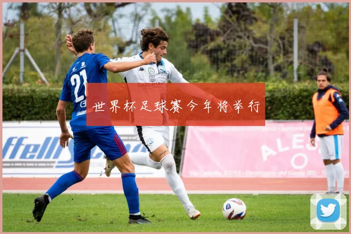 世界杯足球赛今年将举行