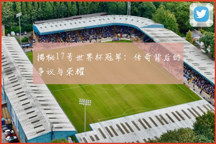 揭秘17号世界杯冠军：传奇背后的争议与荣耀