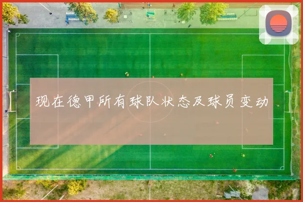 现在德甲所有球队状态及球员变动