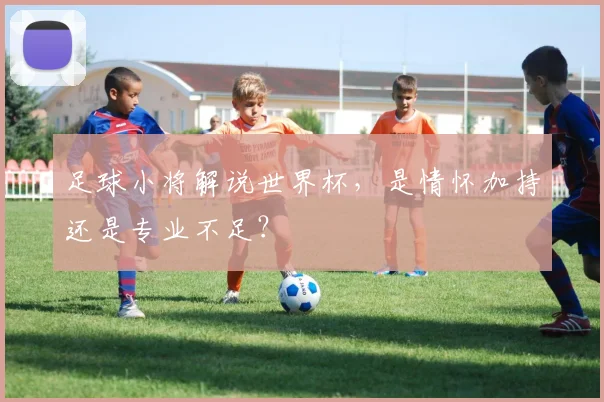 足球小将解说世界杯，是情怀加持还是专业不足？