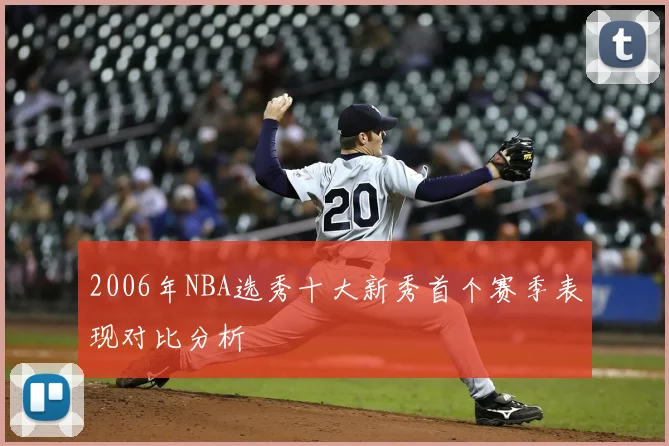 2006年NBA选秀十大新秀首个赛季表现对比分析