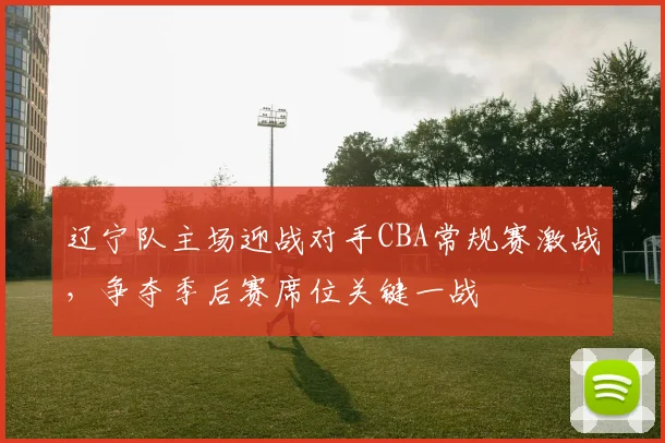 辽宁队主场迎战对手CBA常规赛激战,争夺季后赛席位关键一战