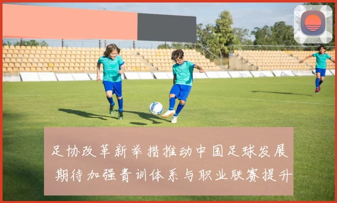 足协改革新举措推动中国足球发展 期待加强青训体系与职业联赛提升