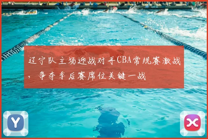 辽宁队主场迎战对手CBA常规赛激战，争夺季后赛席位关键一战