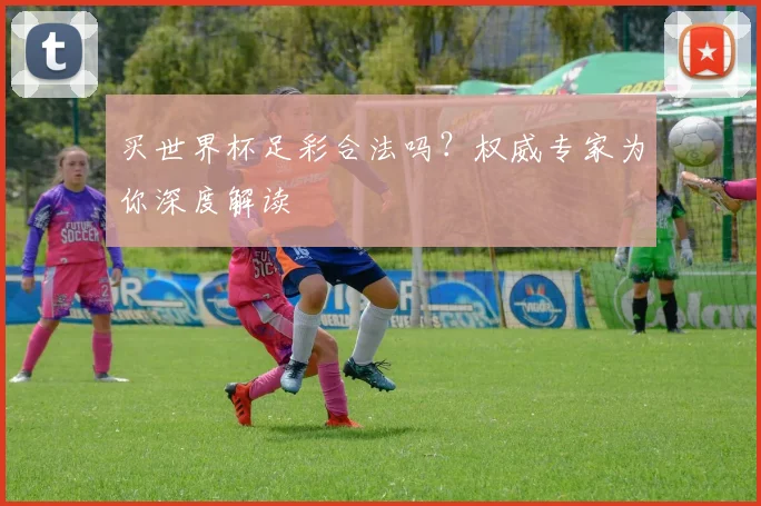 买世界杯足彩合法吗?权威专家为你深度解读