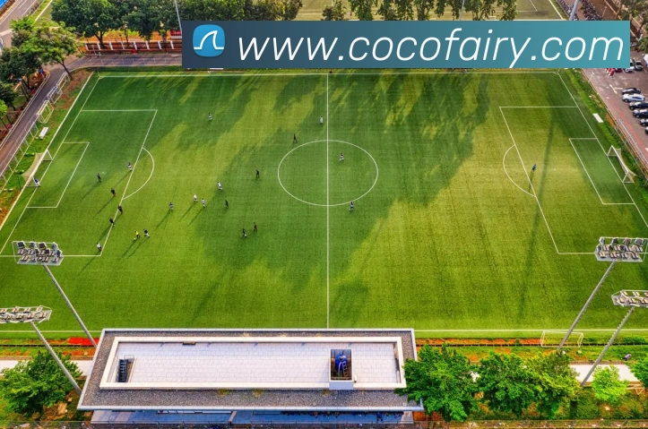 华体app官网发展历程